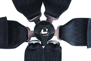 LTEC Magnum 6-Point FIA Harness