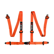 LTEC Bolt-In 4-Point Harness