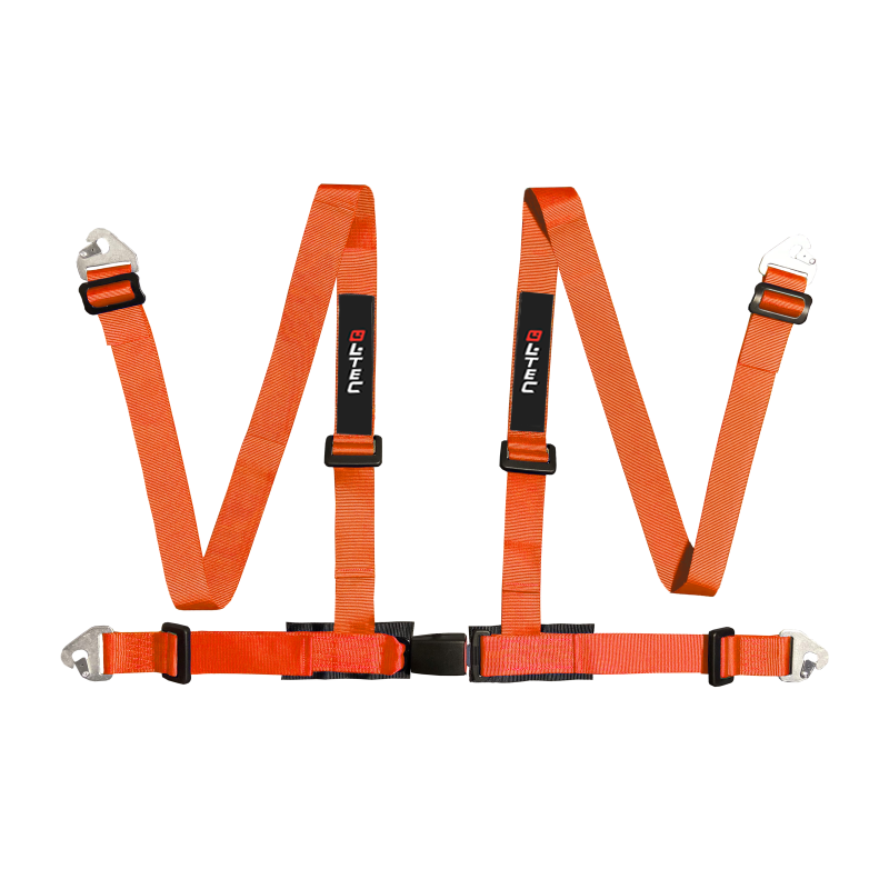 LTEC Eye-Mount 4-Point Harness